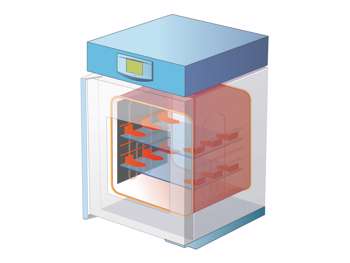 Heat Propagation - Vacuum or Inert Gas